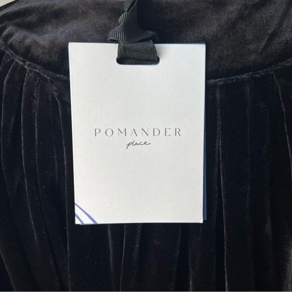 NWT Pomander Place Black Velvet Finley Flutter Sleeve Top Small - Picture 5 of 6
